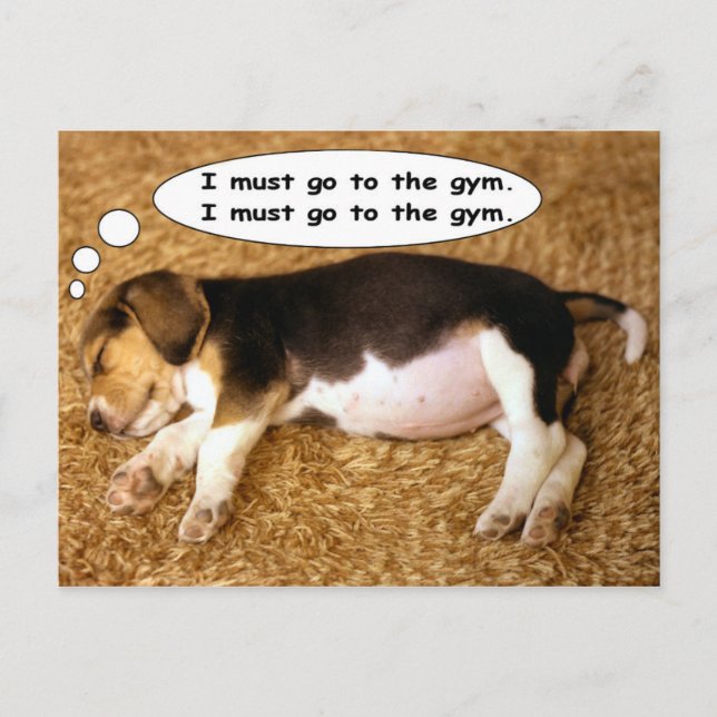 Beagle Pup Dreaming of Getting Fit Postcard (Front)