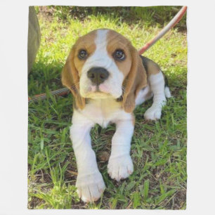 BEAGLE PUP FLEECE BLANKET