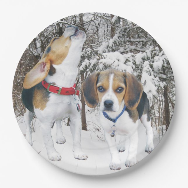 Beagle Puppies in the Snowy Woods Paper Plates (Front)
