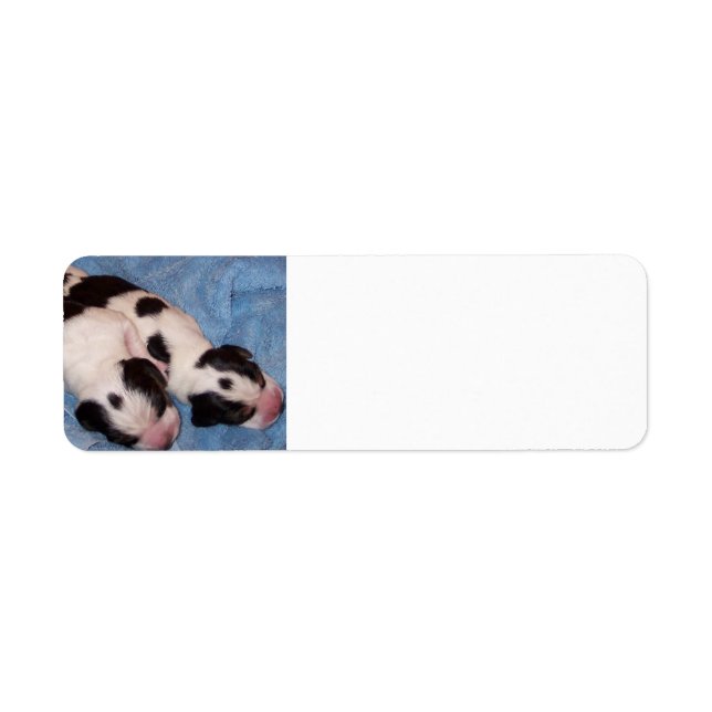 Beagle Puppies Label (Front)