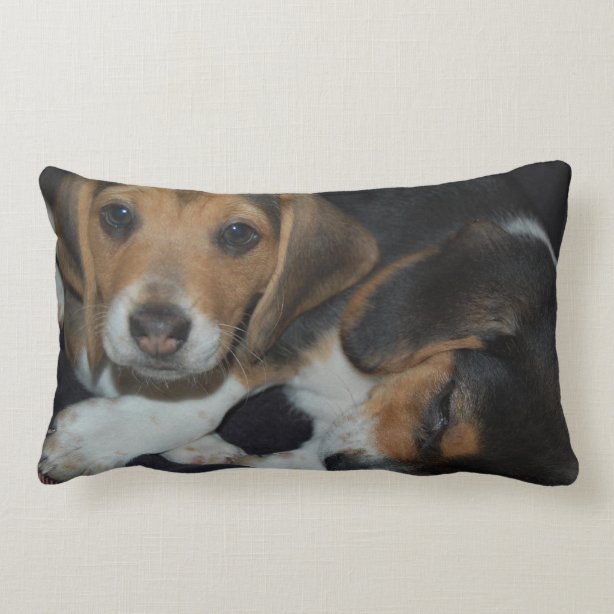 beagle holiday pillow