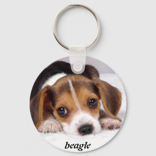 beagle-puppies-wallpaper-11.jpg, beagle keychain