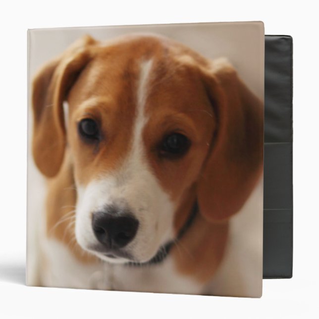 Beagle Puppy 2 3 Ring Binder (Front/Inside)