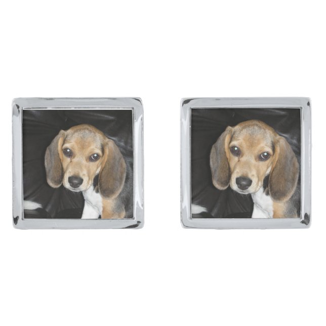 beagle puppy 2 cufflinks (Front)