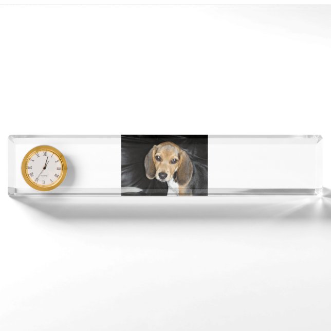 beagle puppy 2 desk name plate (Front)