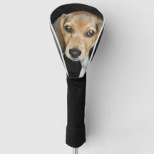 beagle driver head cover