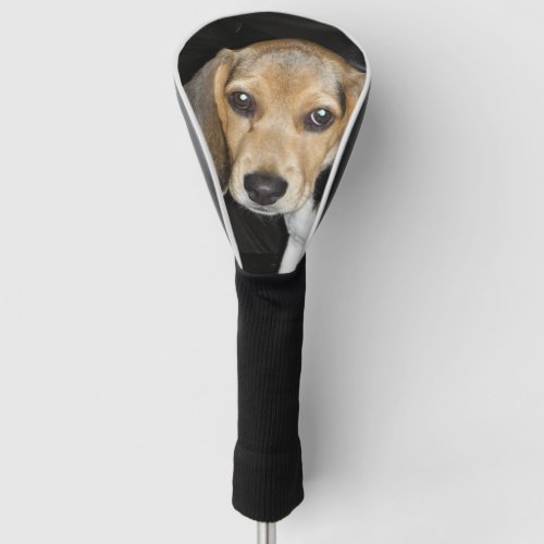 beagle puppy 2 golf head cover