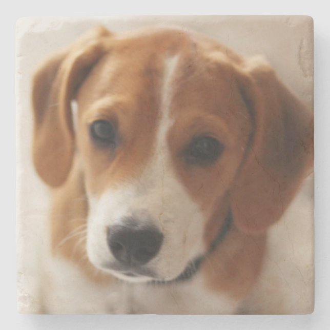 Beagle Puppy 2 Stone Coaster (Front)