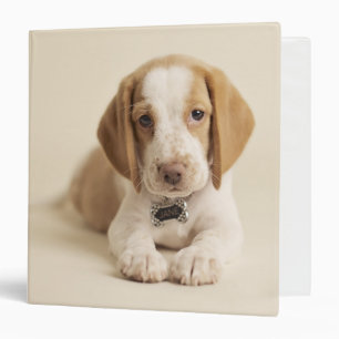 Beagle Puppy 3 Ring Binder