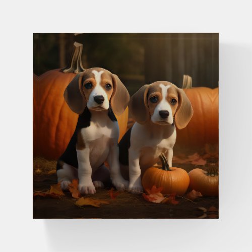 Beagle Puppy Autumn Delight Pumpkin  Paperweight