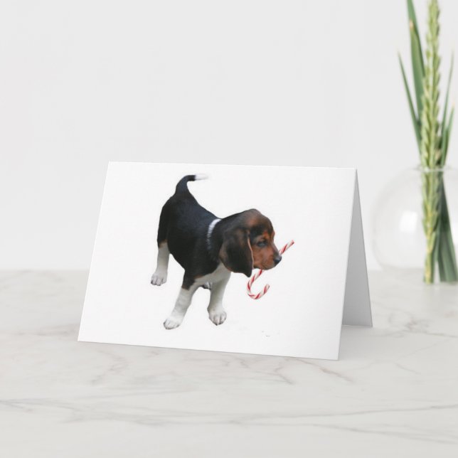 Beagle Puppy Candy Cane Christmas Card (Front)