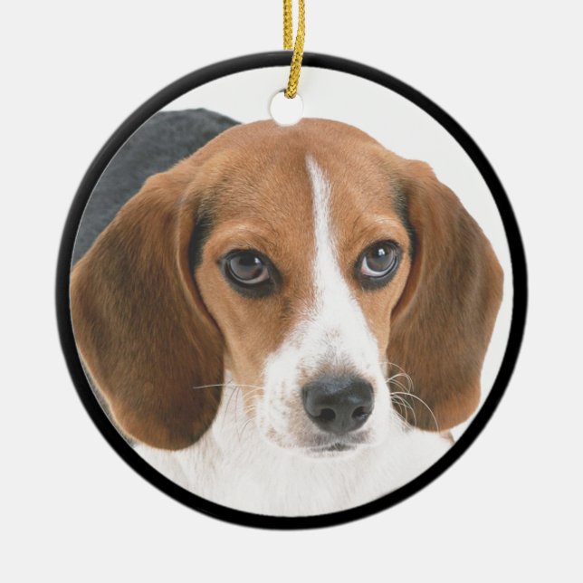Beagle Puppy Ceramic Ornament (Front)
