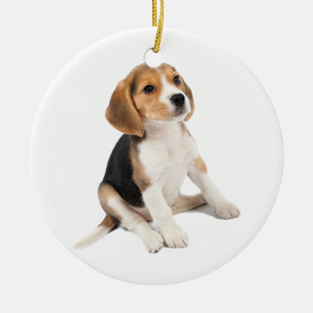 Beagle Puppy Ceramic Ornament (Front)