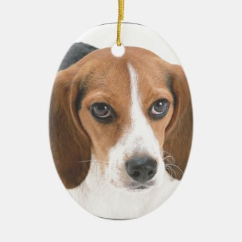 "beagle Puppy" Ceramic Ornament by yackerscreations at Zazzle