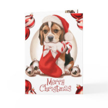 Beagle Puppy Christmas