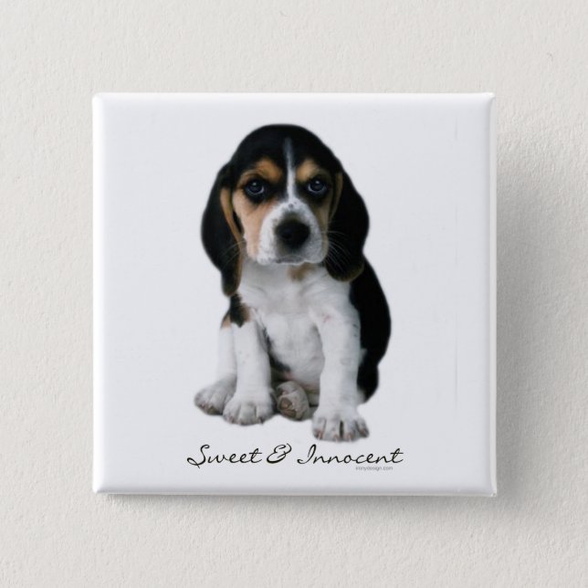 Beagle Puppy Dog Button (Front)