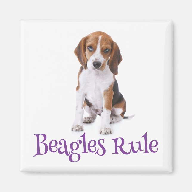 Beagle Puppy Dog Fridge Magnet (Front)