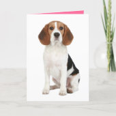 Beagle Puppy Dog Hello Thinkng of You Card | Zazzle