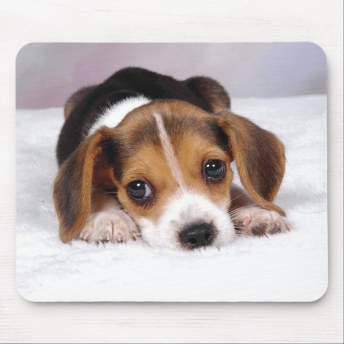 Beagle Puppy Dog Mouse Pad