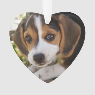 Beagle Dog and Photo Personalized Ornaments