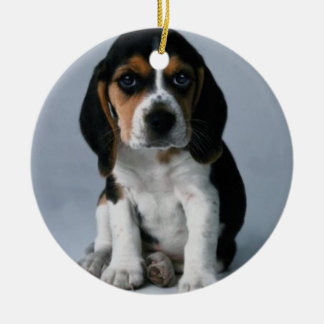 Beagle Puppy Dog Photo Ceramic Ornament