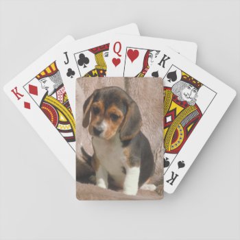 Beagle Puppy Dog Playing Cards by walkandbark at Zazzle