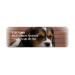 Beagle Puppy Dog Return Address Label
