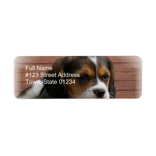 Beagle Puppy Dog Return Address Label (Front)