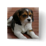 Beagle Puppy Dog Square Pin