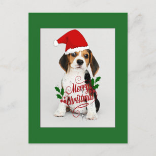Postcard  # 1 Beagle  Puppy    Postkarte 
