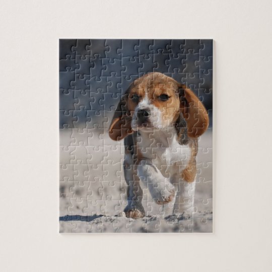 Beagle puppy jigsaw puzzle