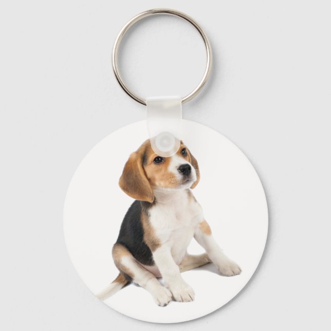 Beagle Puppy Keychain (Front)