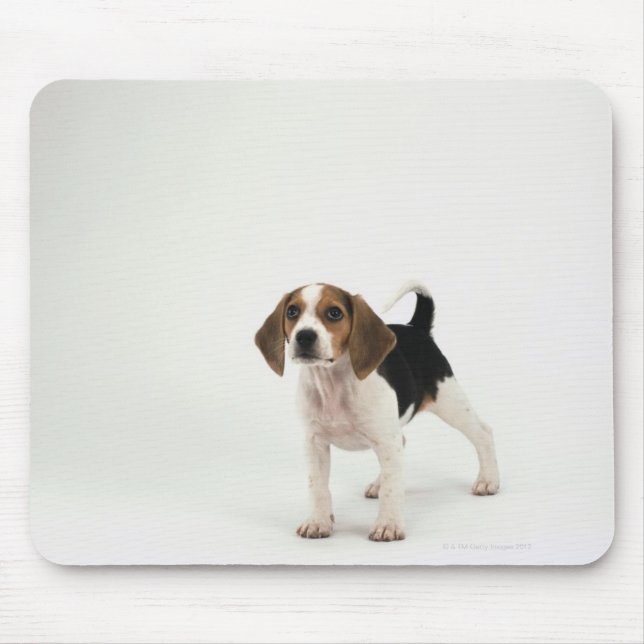 Beagle puppy mouse pad (Front)