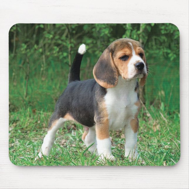 Beagle Puppy Mouse Pad (Front)