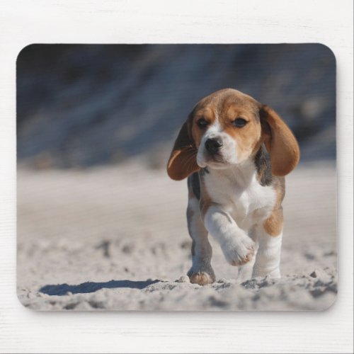 Beagle puppy mouse pad