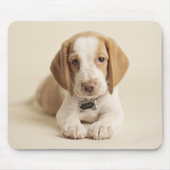 Beagle Puppy Mouse Pad (Front)