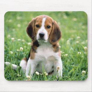 Beagle Puppy Mouse Pad