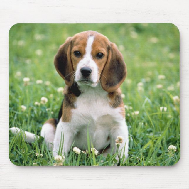 Beagle Puppy Mouse Pad (Front)