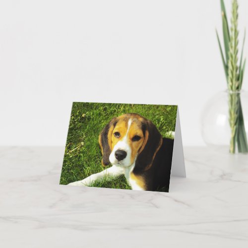 Beagle Puppy Note Card