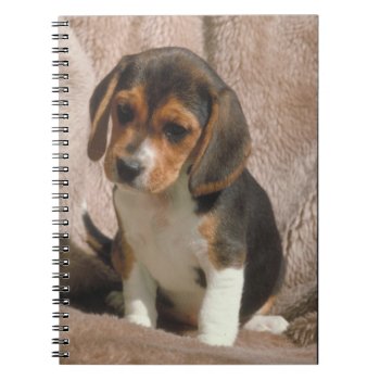 Beagle Puppy Notebook by walkandbark at Zazzle