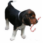 Beagle Puppy Ornament<br><div class="desc">This Beagle Puppy Ornament makes a great little Christmas Gift or Stocking Stuffer.</div>