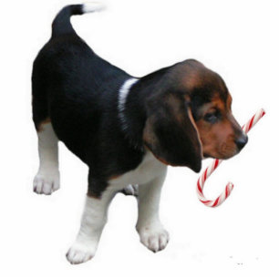 Beagle Puppy Ornament
