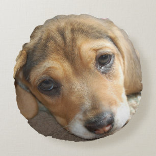 Beagle Puppy Pillow