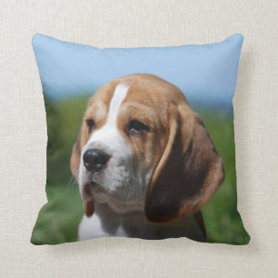Beagle Puppy Pillow