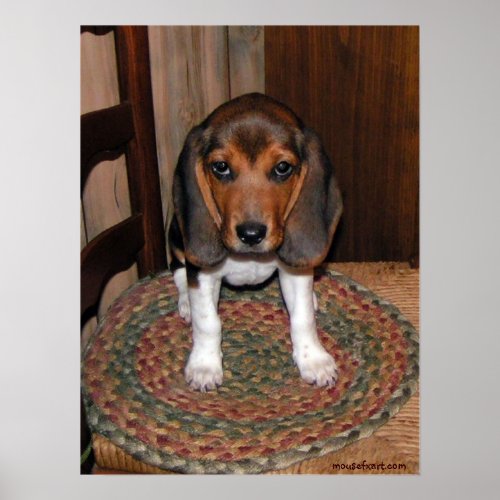 Beagle Puppy Poster