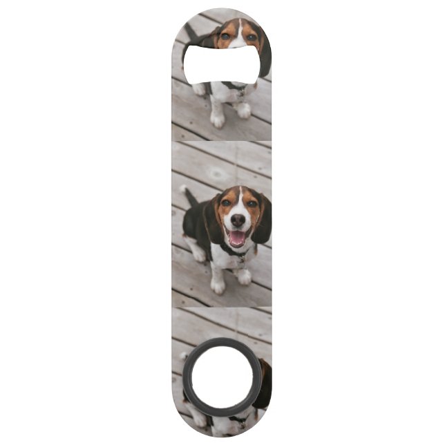 Beagle_puppy sitting bar key (Front)