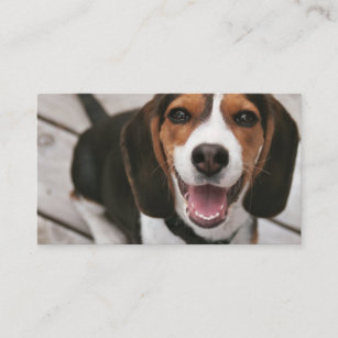 Beagle_puppy sitting business card