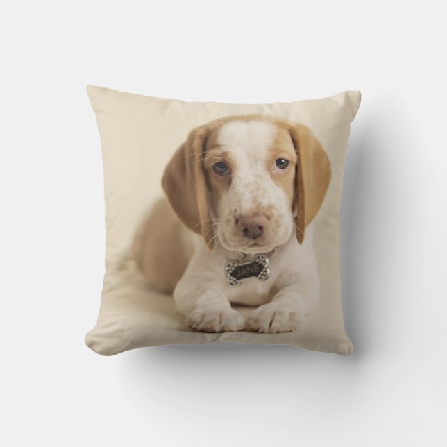 Beagle Puppy Throw Pillow (Front)