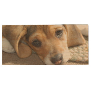 Beagle Puppy USB Flash Drive