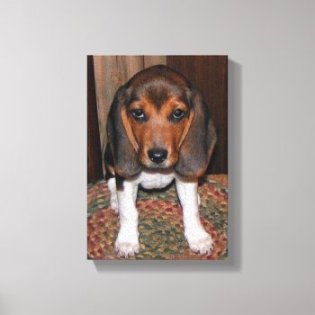 Beagle Puppy Wrapped Canvas by Mousefx at Zazzle